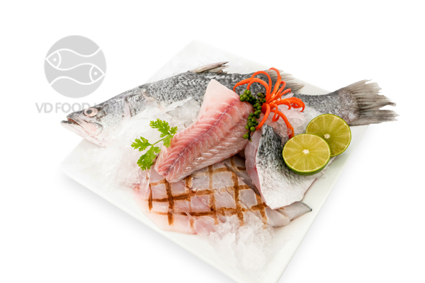 BARRAMUNDI (ASIAN SEABASS) WHOLE ROUND, FILLETS OR PORTIONS