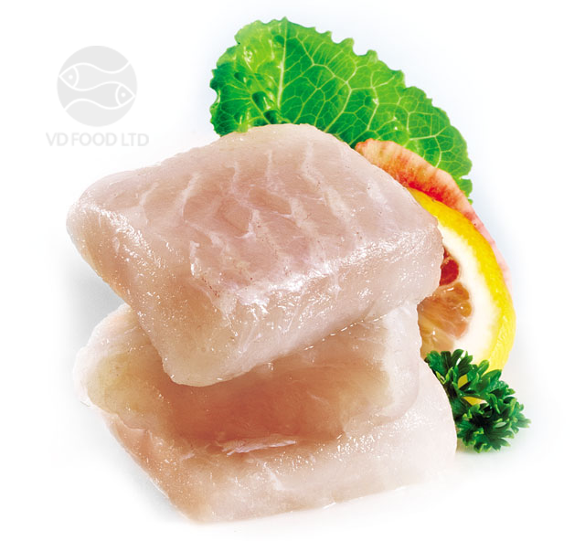 PANGASIUS CUBE